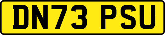 DN73PSU