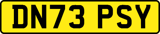 DN73PSY