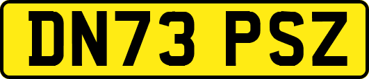 DN73PSZ