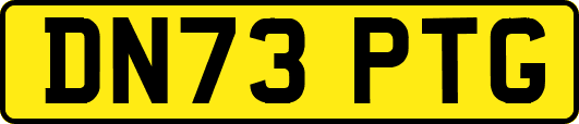 DN73PTG