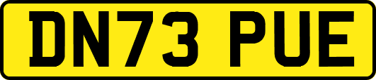 DN73PUE