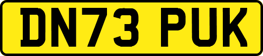 DN73PUK