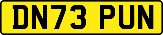 DN73PUN