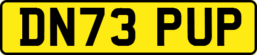 DN73PUP