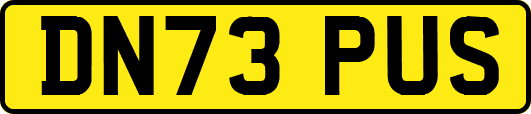 DN73PUS
