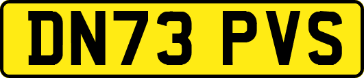 DN73PVS