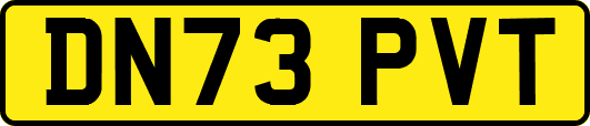 DN73PVT