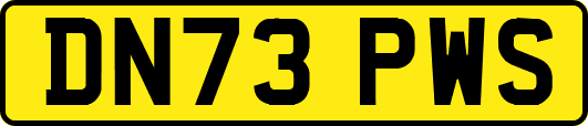DN73PWS