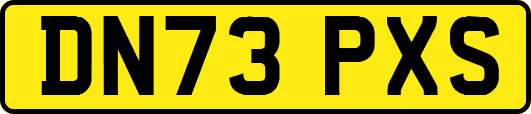 DN73PXS