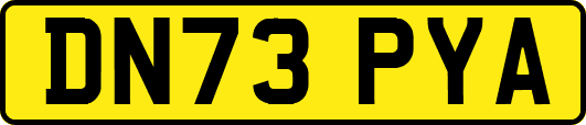 DN73PYA
