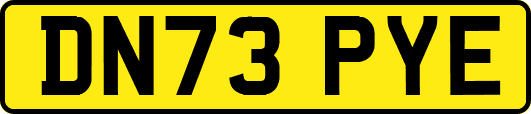 DN73PYE