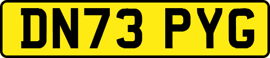 DN73PYG