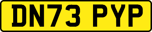 DN73PYP