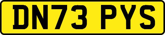 DN73PYS