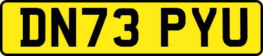 DN73PYU