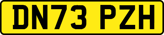 DN73PZH