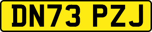 DN73PZJ