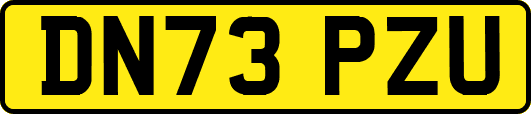 DN73PZU