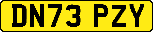 DN73PZY