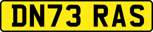 DN73RAS