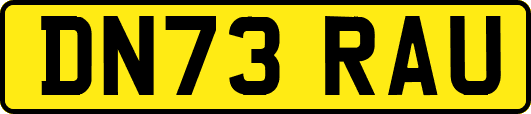 DN73RAU