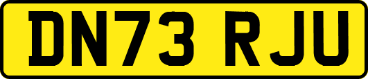 DN73RJU