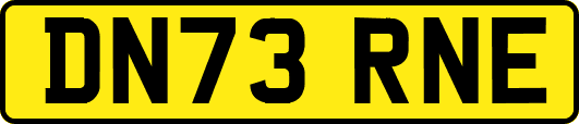 DN73RNE