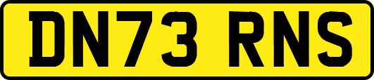 DN73RNS