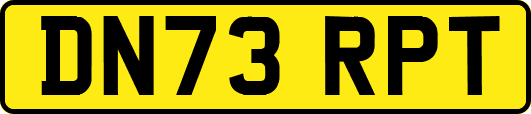 DN73RPT