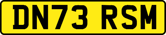 DN73RSM