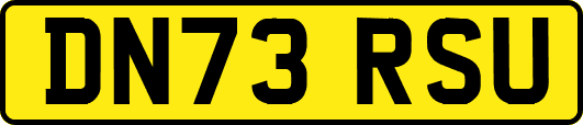 DN73RSU