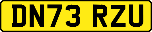 DN73RZU