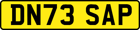 DN73SAP