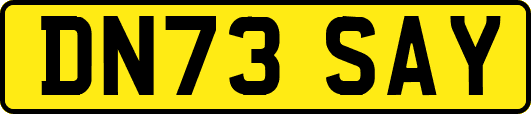DN73SAY