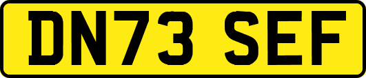 DN73SEF