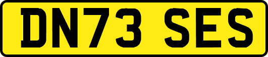 DN73SES