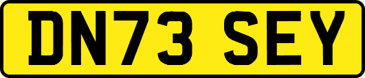 DN73SEY