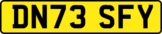 DN73SFY