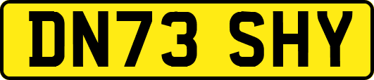 DN73SHY