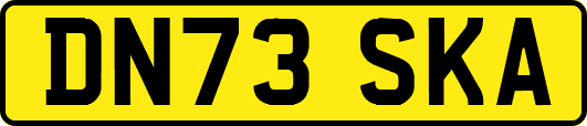 DN73SKA