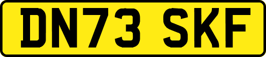 DN73SKF