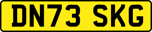 DN73SKG
