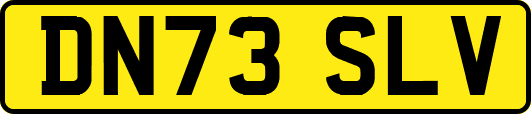 DN73SLV