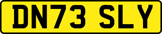 DN73SLY