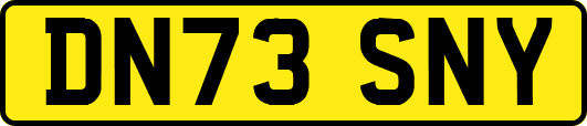 DN73SNY