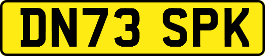 DN73SPK