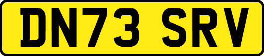 DN73SRV