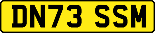 DN73SSM