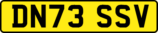 DN73SSV