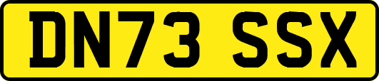 DN73SSX